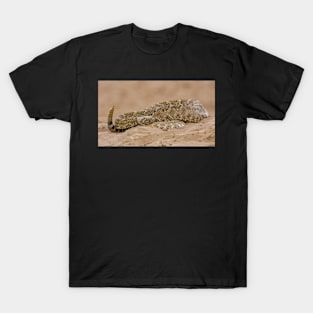 Rattlesnake 16x9 T-Shirt